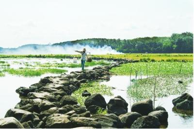 【翰林鎮(zhèn)】位于定安縣南部，是山地向臺(tái)地演變的過(guò)渡地帶，總面積42.3平方公里。全鎮(zhèn)轄 6 個(gè)村委會(huì)，2個(gè)鎮(zhèn)農(nóng)場(chǎng)，56個(gè)自然村，有3950戶，總?cè)丝?1.5萬(wàn)。