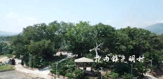 |悹屻u麣ʡǼl塣