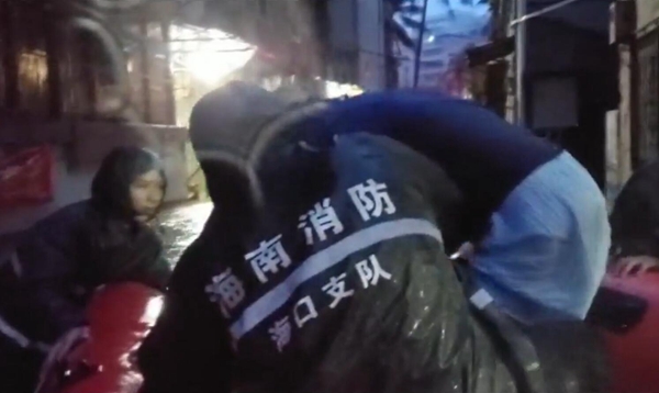 _(ti)L(fng)f L(fng)D(zhun)