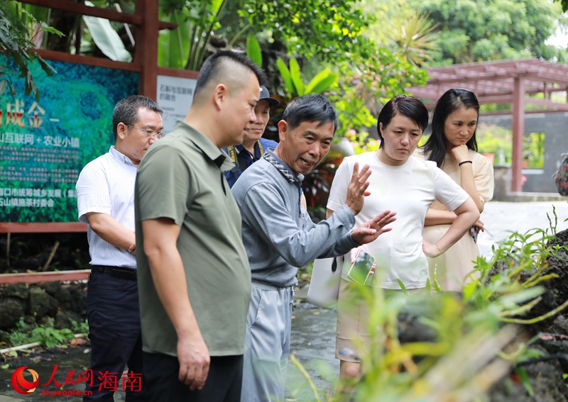 采訪團(tuán)在石斛園里聆聽施茶村的振興故事。人民網(wǎng) 孟凡盛攝