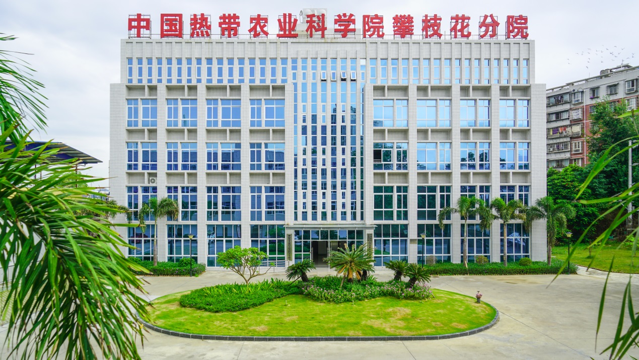 中國熱帶農業科學院四川攀枝花研究院。