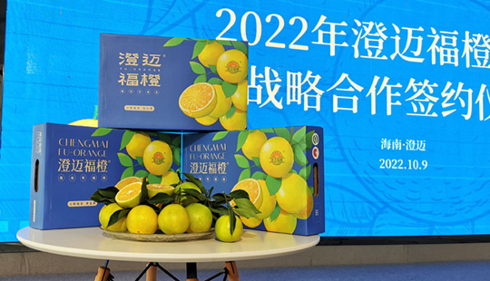 “澄邁福橙”將以全新形象面向市場 讓品牌效應(yīng)真正助農(nóng)增收
