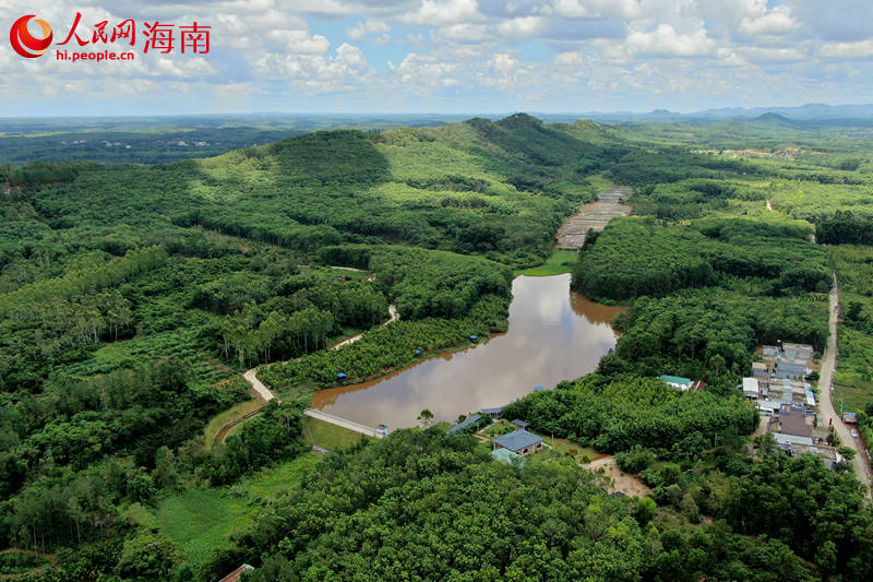 近年來，澄邁縣依托當(dāng)?shù)貐^(qū)位和生態(tài)資源優(yōu)勢，大力發(fā)展特色富硒產(chǎn)業(yè)，提升百姓收入。圖為澄邁縣效古村。