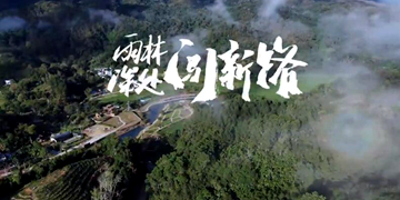 五指山毛納村：黎家村寨日子美依山傍水，滿眼蒼翠。茶香四溢，令人沉醉。這里是海南省五指山市水滿鄉毛納村，一個遠離喧囂的黎族村莊。近年來毛納村圍繞“全域旅游示范村”建設目標，以美麗鄉村建設為抓手，以黎族文化和熱帶風情為主題，大力發展鄉村旅游業，村民的日子越過越紅火。【詳細】