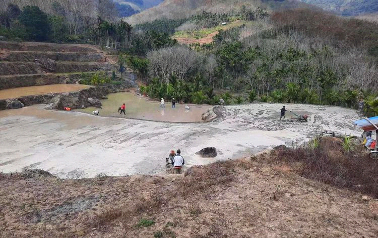 如今，在毛陽鎮(zhèn)的田間地頭，已處處可見春早人勤的農(nóng)忙景象。許嘉杰攝