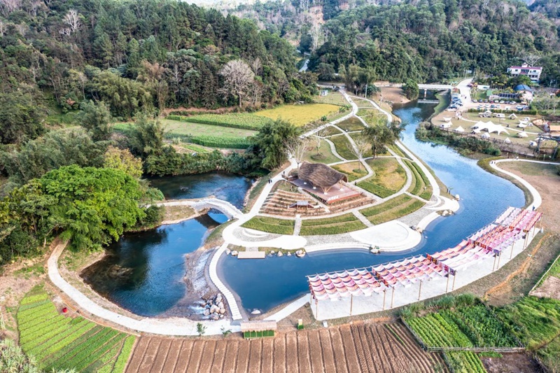 早春茶開采節主會場五指山市毛納村。