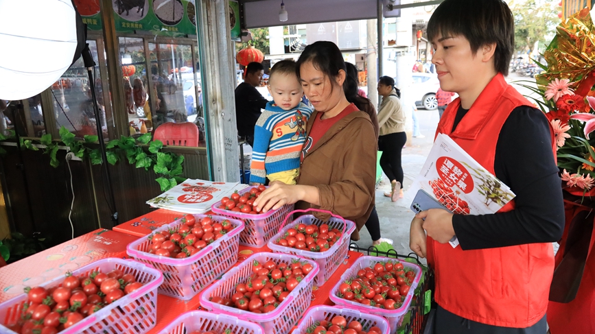 市民選購圣女果。胡雄飛攝