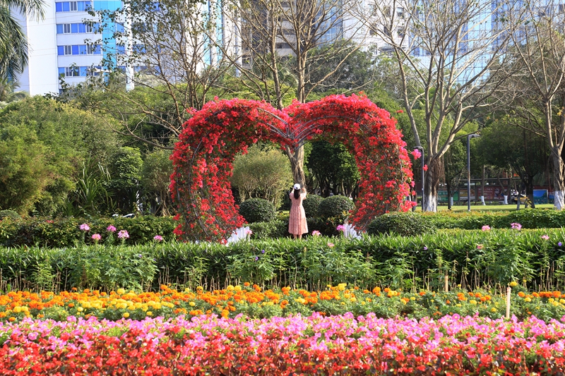 海口：百花齊放春滿園