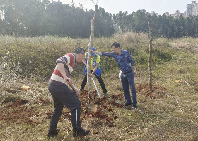 海口秀英區五源河國家濕地公園開展2023年在職黨員“雙報到”植樹志愿服務活動。長流鎮供圖