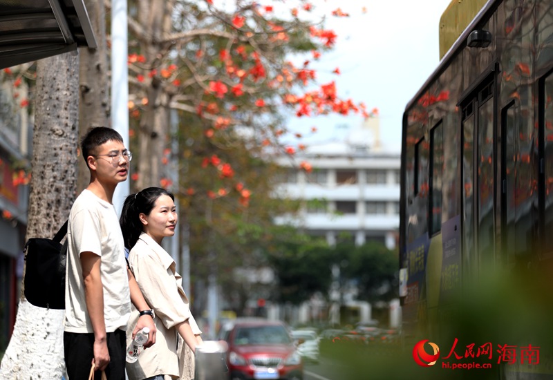 木棉花開，給海口添上春日浪漫。人民網 符武平攝