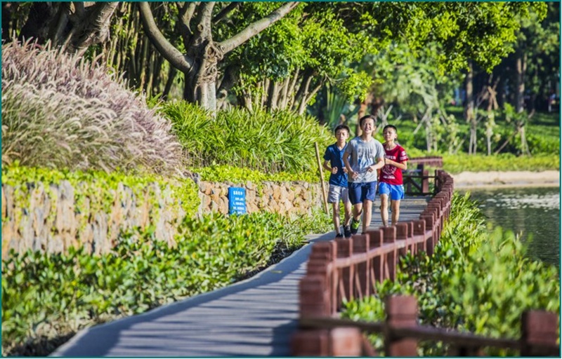 小朋友在鳳翔濕地公園游玩。海南省水務廳供圖