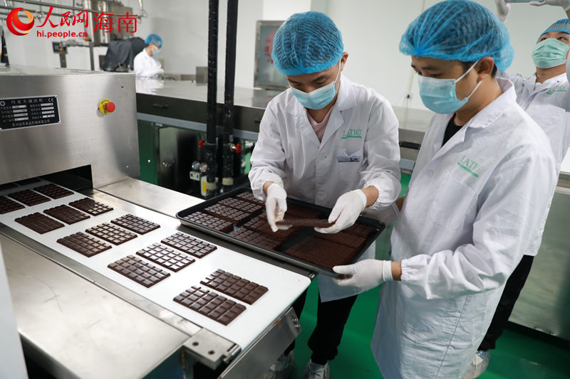 在加綠巧食品制造業（海南）有限責任公司，工作人員將制作好的巧克力整理出盤。 人民網 孟凡盛攝