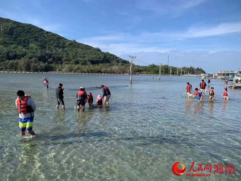 游客在退潮時分趕海。受訪者供圖