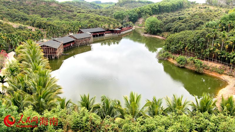 保亭正在探索農旅融合發展新路徑。人民網 符武平攝