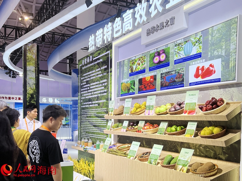 熱帶特色高效農業產品引起參觀者關注。人民網 蔣成柳攝