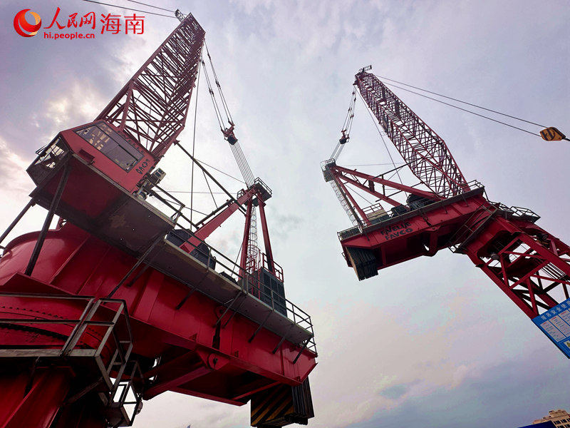 空中造樓機。 人民網(wǎng) 孟凡盛攝