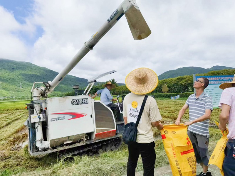 測產、驗收工作現場。海南大學三亞南繁研究院供圖