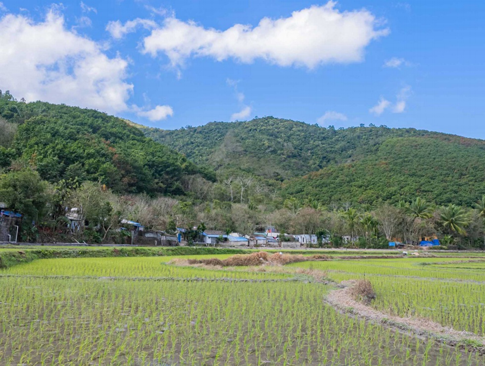 昌江黎族自治縣王下鄉洪水村