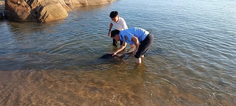 海豚第一次擱淺，民警到場救助。警方提供