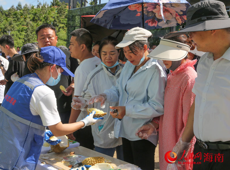 市民現場品嘗國產“樹上熟”榴蓮。人民網 牛良玉攝