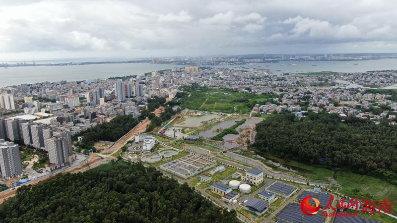 俯瞰儋州藤根河濕地公園。符武平攝