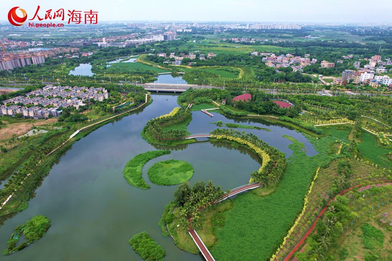 芙蓉河濕地公園。 人民網記者 孟凡盛攝