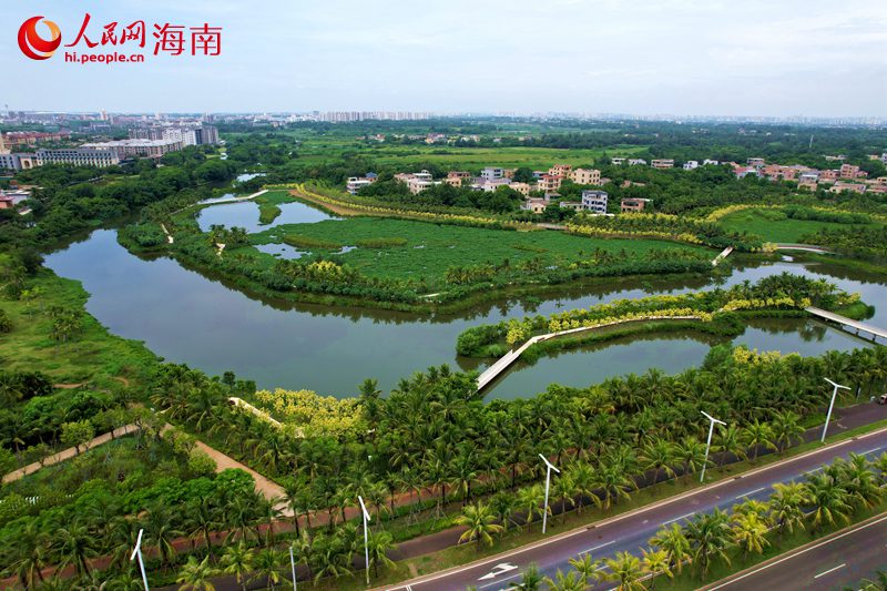 位于海口市江東新區的芙蓉河濕地公園。 人民網記者 孟凡盛攝