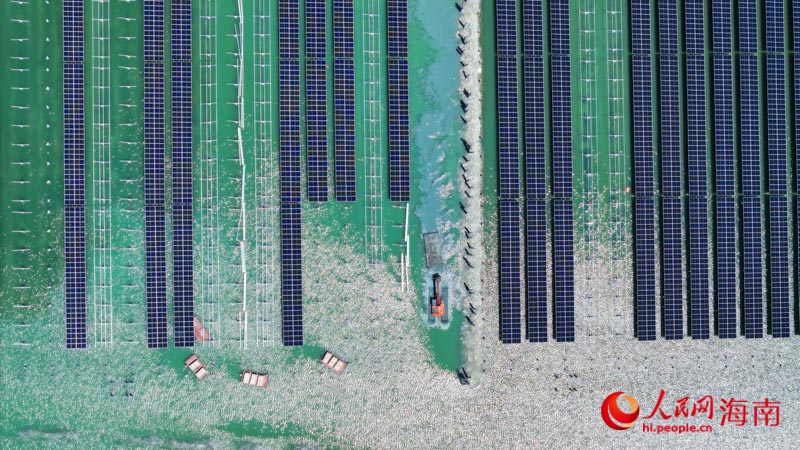一臺機械正在作業。人民網 牛良玉攝