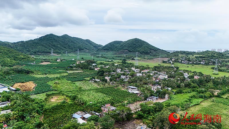 俯瞰那甫村。人民網記者 牛良玉攝