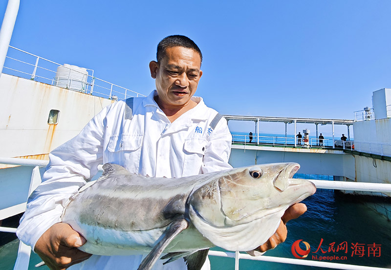 工作人員向記者展示剛出水的軍曹魚。人民網記者 牛良玉攝