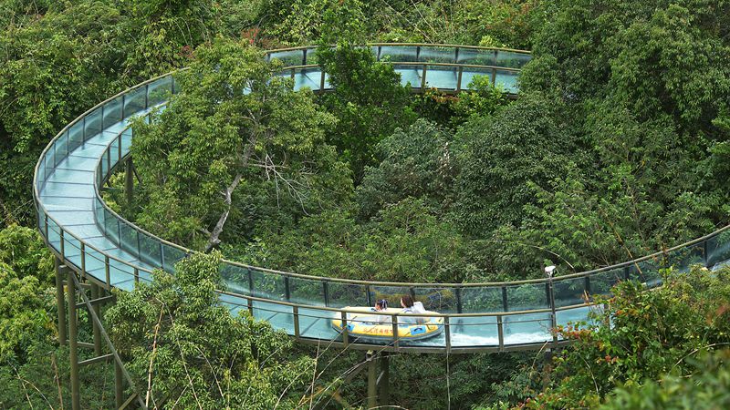 1月26日，寒假伊始，眾多游客漫步在亞龍灣熱帶天堂森林旅游區賞花觀景，登高望遠，體驗熱帶雨林游的樂趣，樂享暖冬三亞的美麗風光。黃慶優攝