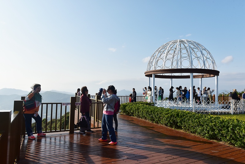 1月26日，寒假伊始，眾多游客漫步在亞龍灣熱帶天堂森林旅游區(qū)賞花觀景，登高望遠(yuǎn)，體驗(yàn)熱帶雨林游的樂趣，樂享暖冬三亞的美麗風(fēng)光。黃慶優(yōu)攝