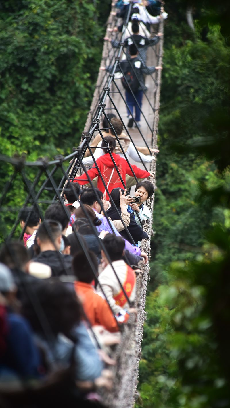 1月26日，寒假伊始，眾多游客漫步在亞龍灣熱帶天堂森林旅游區賞花觀景，登高望遠，體驗熱帶雨林游的樂趣，樂享暖冬三亞的美麗風光。黃慶優攝