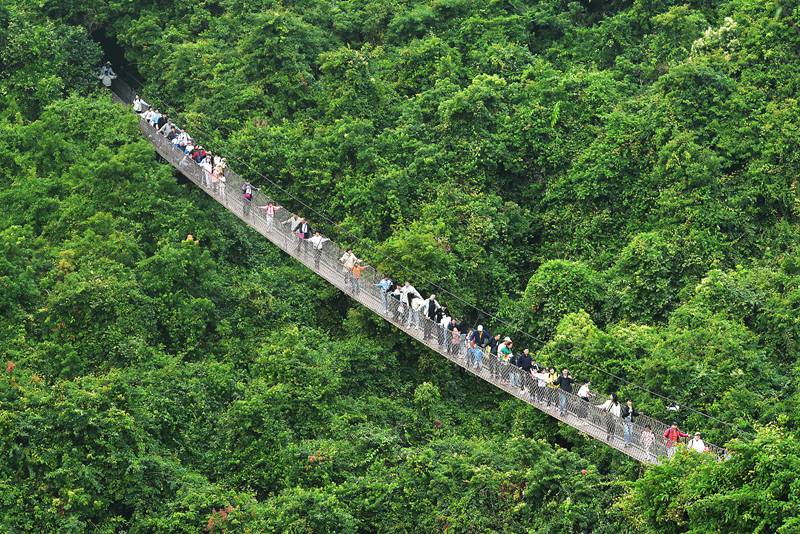 1月26日，寒假伊始，眾多游客漫步在亞龍灣熱帶天堂森林旅游區(qū)賞花觀景，登高望遠(yuǎn)，體驗(yàn)熱帶雨林游的樂(lè)趣，樂(lè)享暖冬三亞的美麗風(fēng)光。黃慶優(yōu)攝