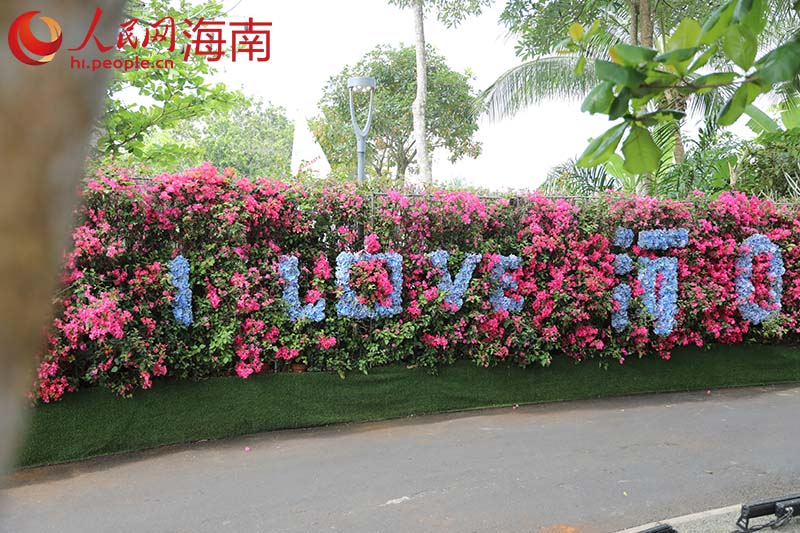 “I Love海口”花墻大型裝置。 人民網(wǎng)記者 孟凡盛攝