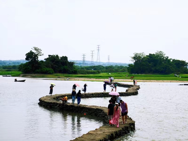 打卡蛇橋。