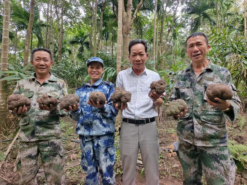 村民在種植基地里收獲猴頭菇。李俊杰供圖