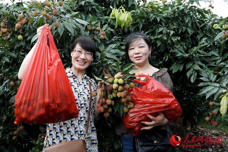 中國郵政郵樂平臺的金牌店主在果園里體驗采摘樂趣。人民網記者 符武平攝