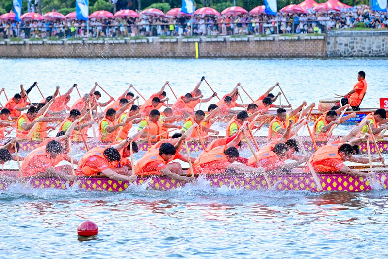 龍舟隊伍在海甸河破浪前行。主辦方供圖