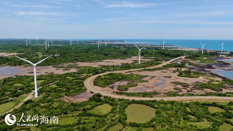 儋州峨蔓火山巖海岸的綠色美景。人民網記者 符武平攝