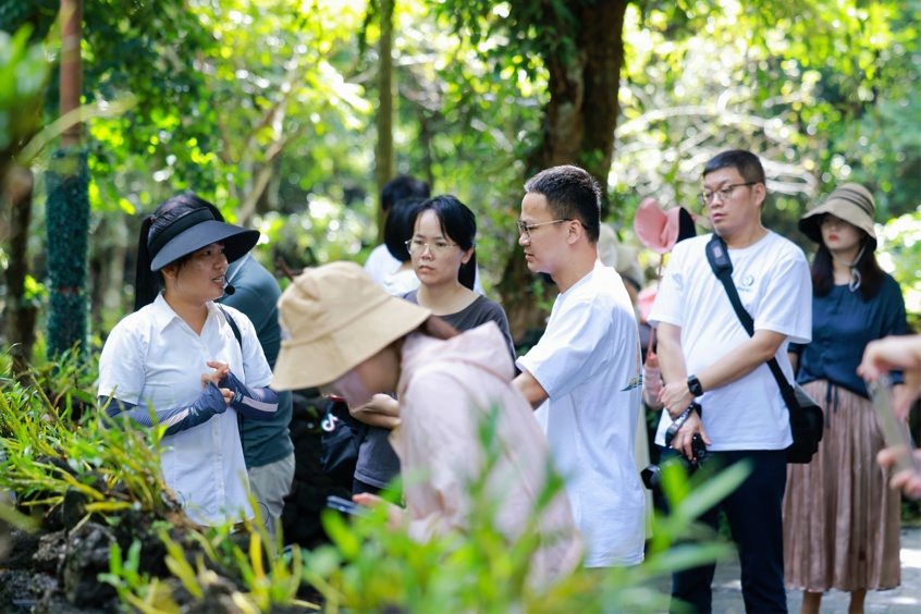 采風團成員聽講解員介紹石斛的種植過程。海口市委網信辦供圖