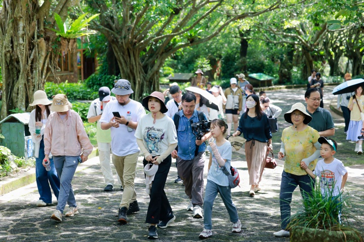 采風團隊來到中國雷瓊世界地質公園海口園區，感受這片生態美景。海口市委網信辦供圖