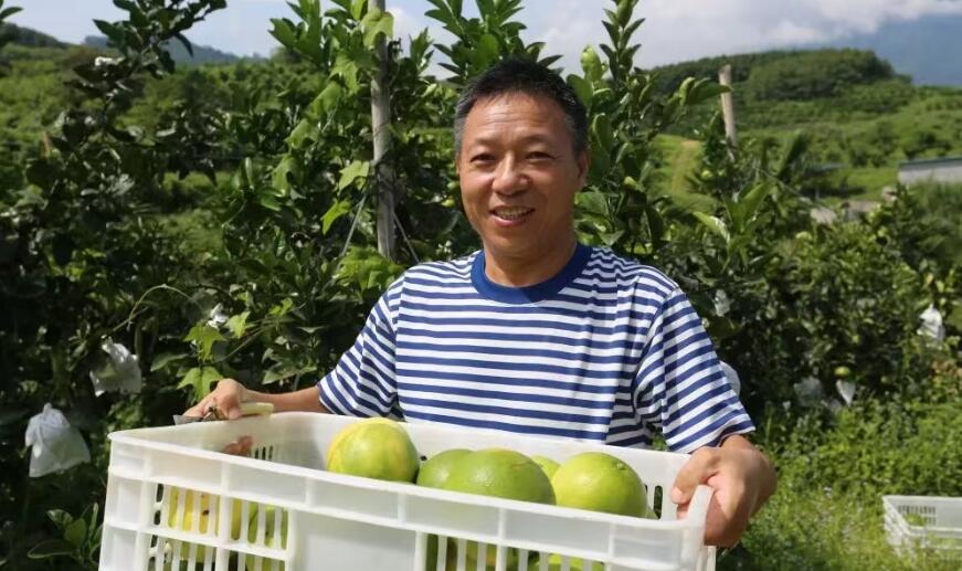 以標準化熱帶柑橘種植示范基地為核心打造黎母山旅游觀光帶