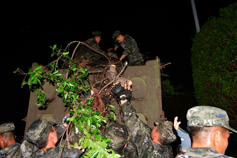 在災(zāi)后重建工作中，武警海口支隊(duì)官兵往貨車(chē)上裝載斷木。何應(yīng)騰攝