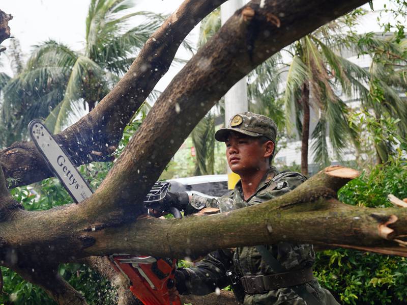 武警海口支隊(duì)官兵正在清理被風(fēng)吹倒的樹木。袁琳松攝