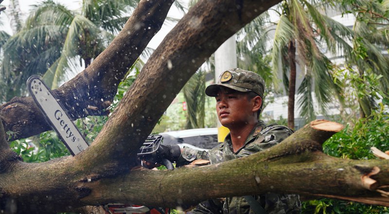 武警海口支隊官兵清理被風吹倒的樹木