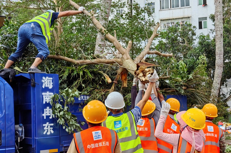 2.救援人員在文昌市教育局現(xiàn)場清理倒伏樹木。李玉祥攝