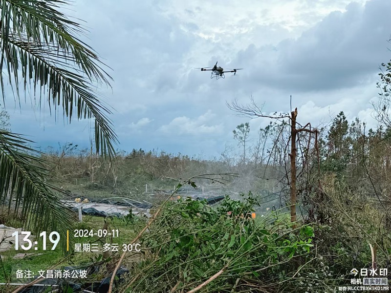 無人機在執(zhí)行消殺任務。海南省農(nóng)業(yè)農(nóng)村廳供圖