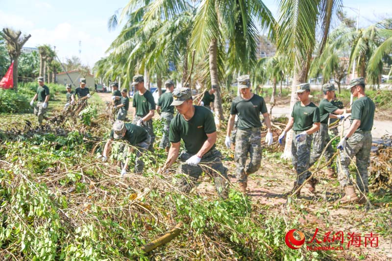 武警官兵們身手矯健、行動迅速，不一會兒就將一片區(qū)域清理完畢。人民網(wǎng)記者 牛良玉攝