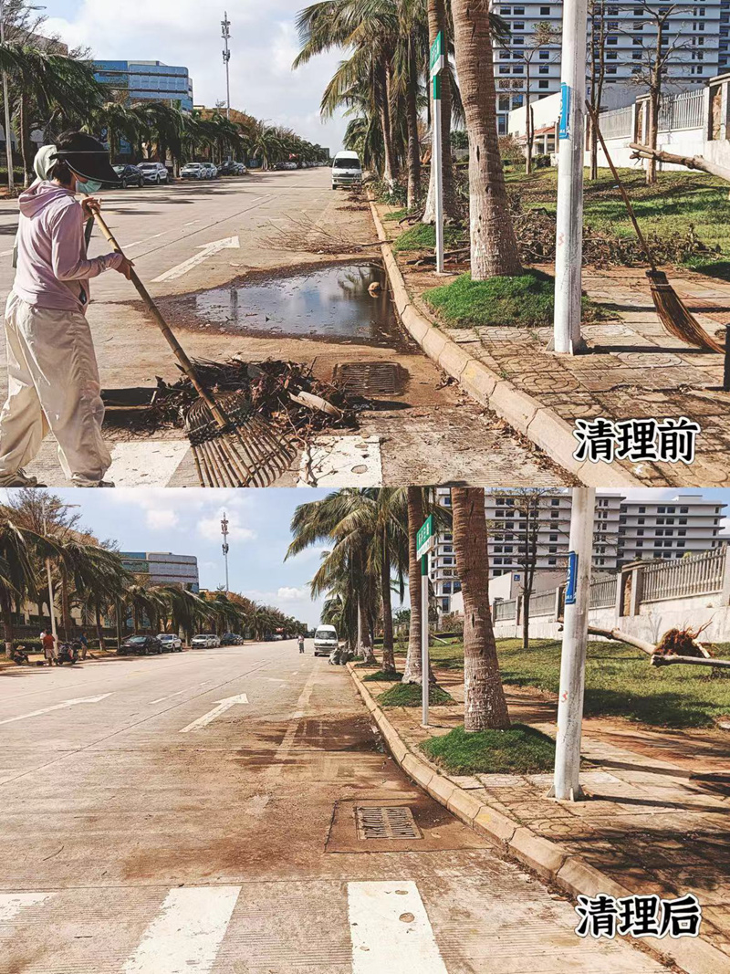 藥谷街道清理前后形成鮮明對比。海口國家高新區管委會供圖